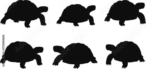 tortoise, animal, silhouette, shell, reptile, crawl, walk, rest, icon, vector, illustration, black, white, nature, desert, anatomy, behavior, wildlife, slow, design