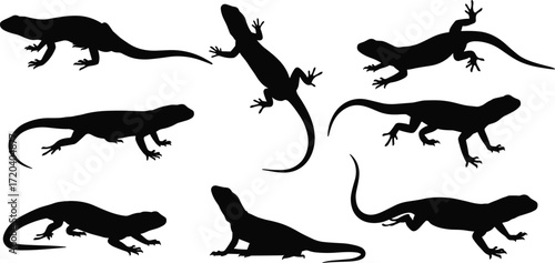 lizard, animal, silhouette, reptile, crawl, climb, rest, icon, vector, illustration, black, white, nature, desert, anatomy, behavior, wildlife, tropical, gecko, design