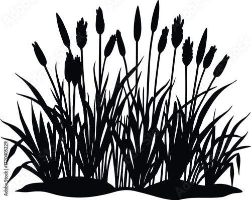 Marsh Plants Silhouette | Wetland Botanical Vector