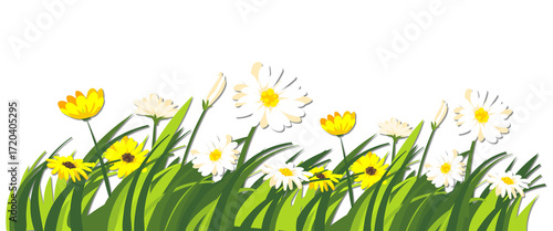 Cartoon meadow of flowers and green grass
