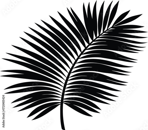 Palm Frond Silhouette | Tropical Leaf Vector Illustration