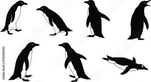 penguin, animal, silhouette, walking, standing, swimming, vocalizing, icon, vector, illustration, black, white, nature, wildlife, pose, anatomy, behavior, aquatic, cold, flipper, design