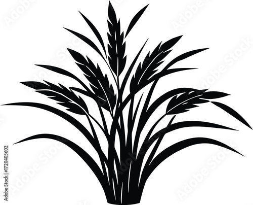 Rice Plant Silhouette | Farm Harvest Botanical Vector