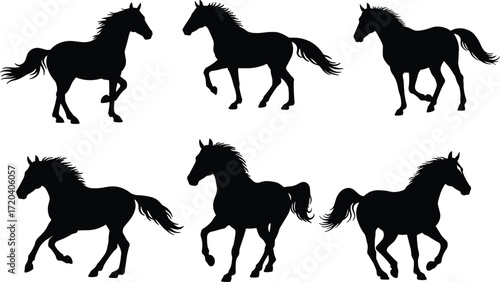 horse, animal, silhouette, walking, trotting, galloping, icon, vector, illustration, black, white, nature, motion, anatomy, pose, behavior, rural, speed, grace, design
