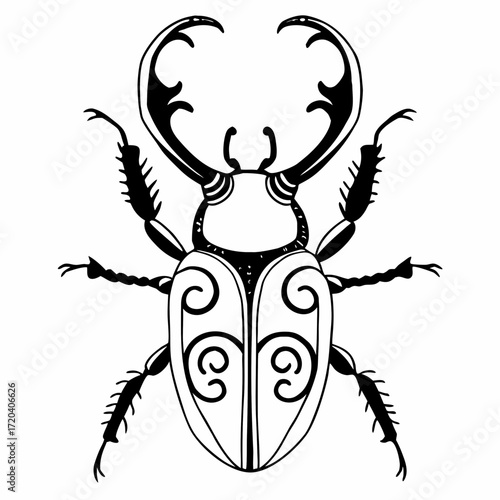 Thorn whirl beetle silhouette on white background