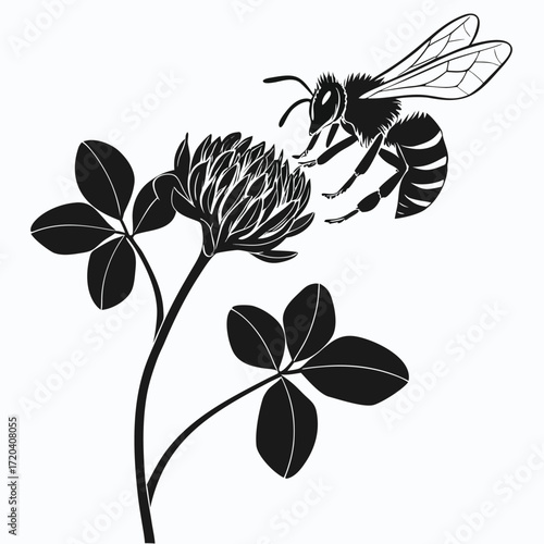 Bee collecting nectar from clover silhouette