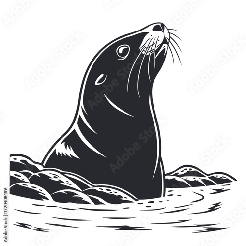 Seal peeking from tide pool silhouette