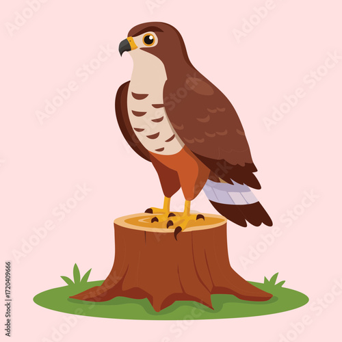 Powerful Hawk Bird Perched on a Tree Stump with a Confident and Regal Pose