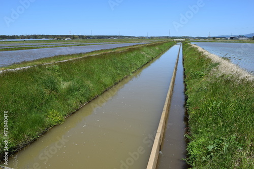 Wallpaper Mural 農業用水路 山形県庄内 Torontodigital.ca