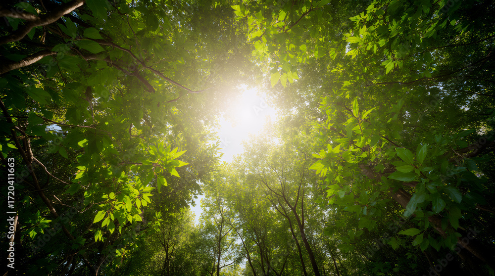 Fototapeta premium Immerse in the lush jungle canopy’s vibrant greenery, perfect for nature art and tropical decor delights