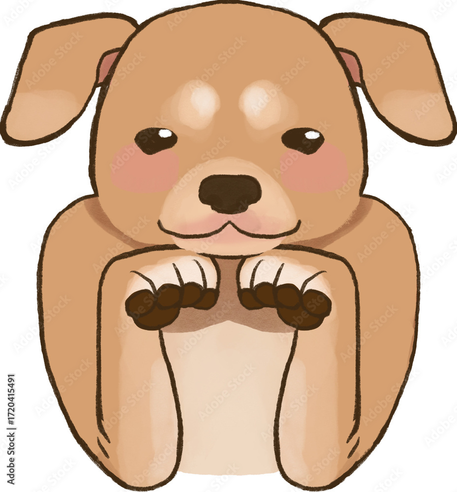 Fototapeta premium Puppy