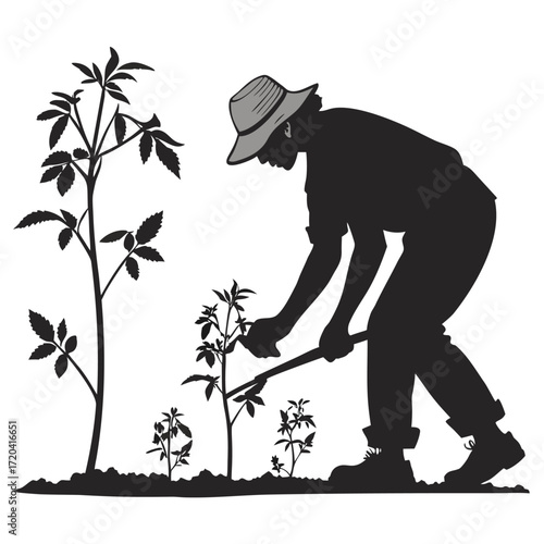 Farmer planting tomato seedlings silhouette
