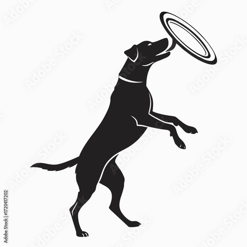 Dog carrying frisbee silhouette
