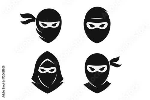  Ninjas in Different Forms