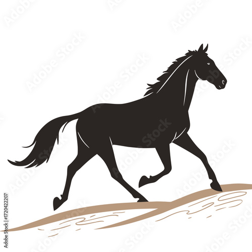 Horse galloping on sandy track silhouette