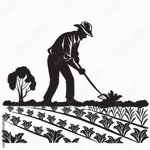 Farmer harvesting lettuce silhouette