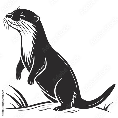 Otter floating with closed eyes silhouette
