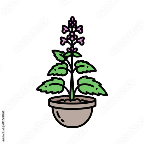 Potted Herb Plant with Green Leaves and Purple Flowers.