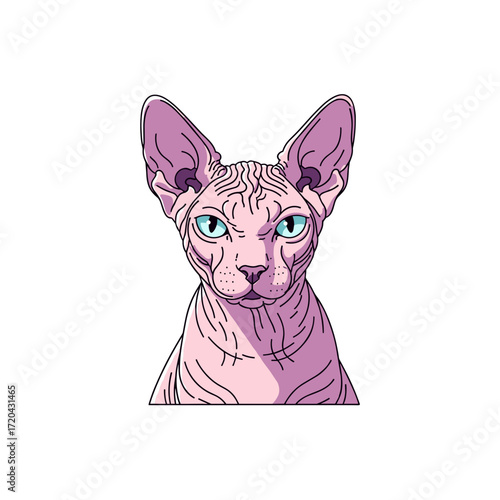 Stylish Pink Sphynx Cat Portrait with Bold Lines.