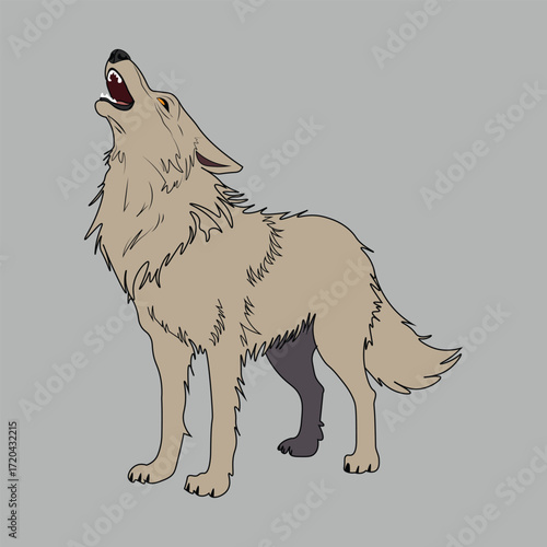 Wolf howling outline in natural scene with detailed wild animal pose