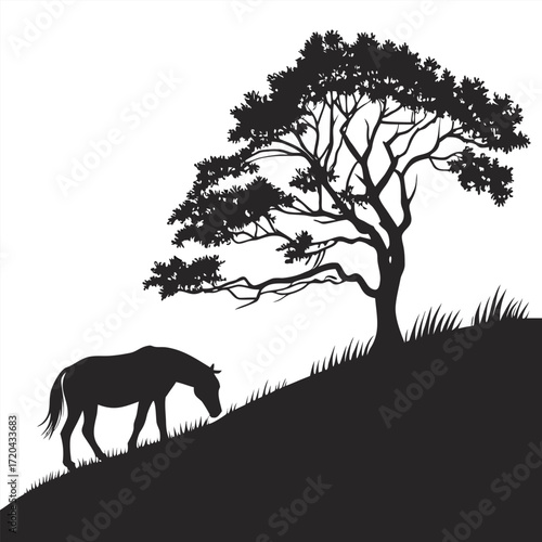 Horse grazing on hillside silhouette