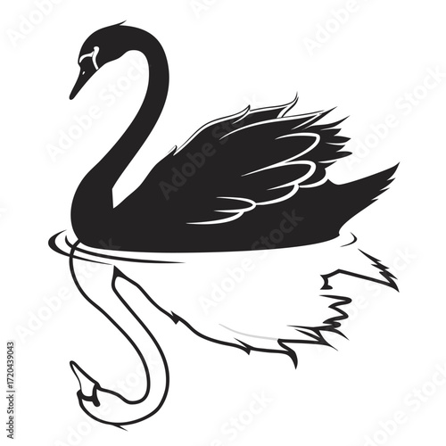Swan gliding with reflection silhouette