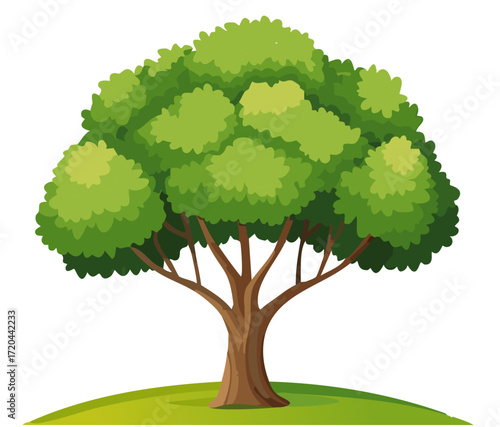 Arbol 1