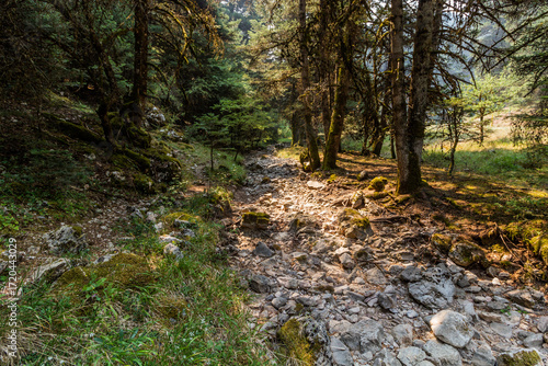 Menalon trail near Elati village on Peloponnese peninsula, Greece