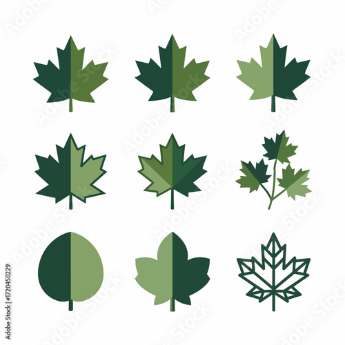 Collection of diverse green leaf icon set representing nature and growth, perfect for design projects