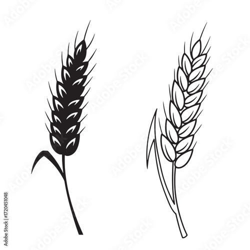Two stylized black and white illustrations of wheat ears for agricultural and design elements