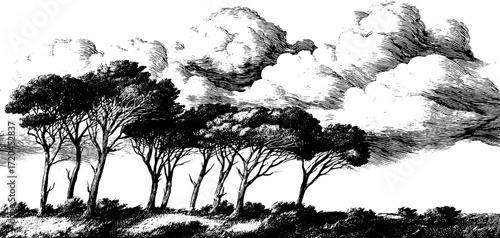 Engraving style seamless background of strong wind and trees in nature scene