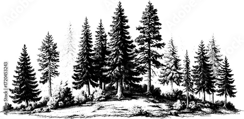 Engraving style seamless pattern of pine trees for forest-themed design