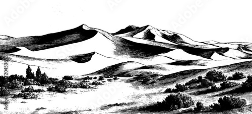 Vintage hand drawn seamless etched background of desert dunes