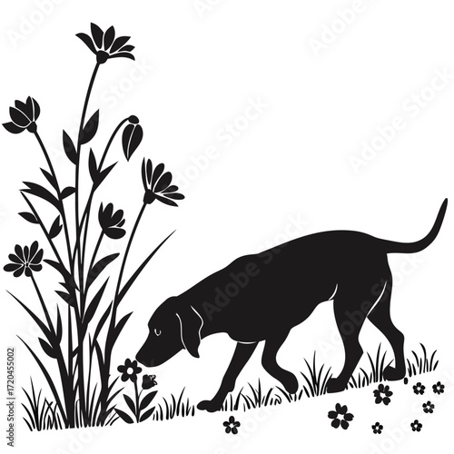 Dog sniffing flowers silhouette