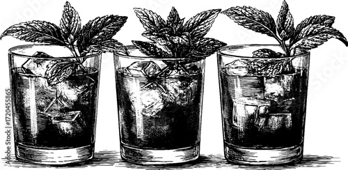 Refreshing vintage cocktail with mint garnish for beverage design and decoration