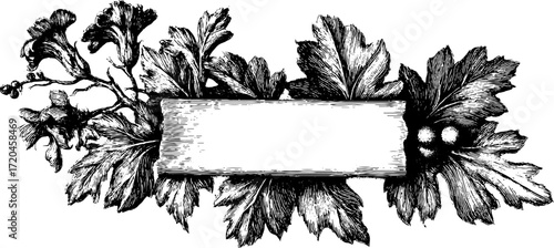 Vintage leafy frame design with rectangular center for labels and invitations