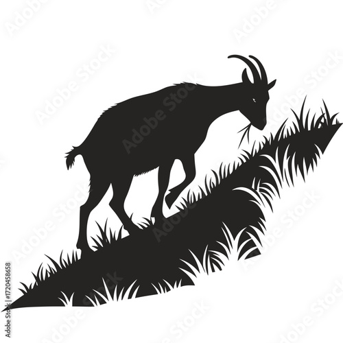Goat grazing in mountain meadow silhouette