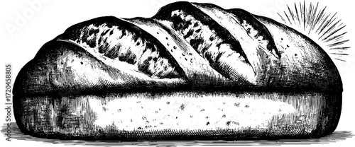 Vintage illustration of loaf of bread with rounded top for culinary design