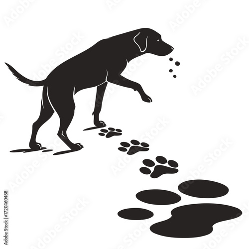 Dog pawing at puddle silhouette