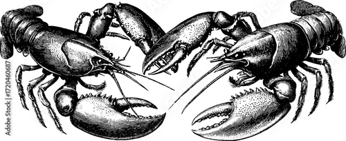 Detailed vintage illustration of river crayfish claws for retro design