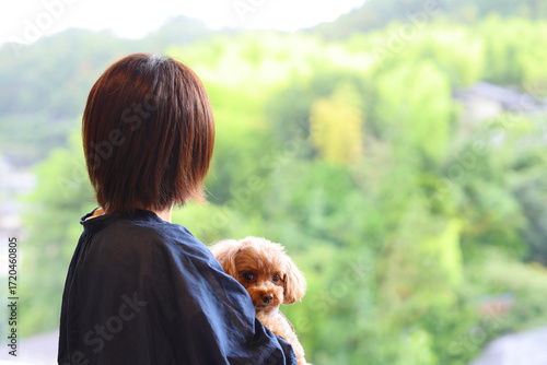 大きな窓の前で飼い主に抱っこされているトイ・プードル