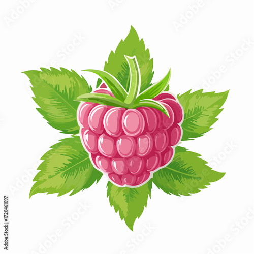 Himbeeren