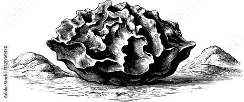 Vintage sea sponge texture illustration for design and decor projects