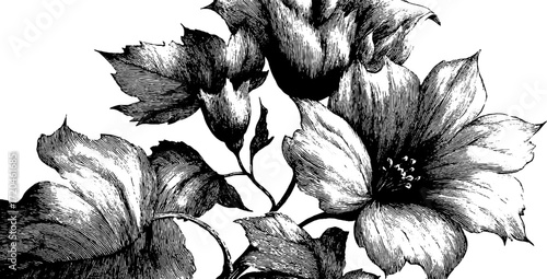 Black and white floral silhouette with seamless dots pattern for vintage design and decoration
