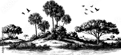 Vintage swamp scene with vegetation and birds in hand-drawn style
