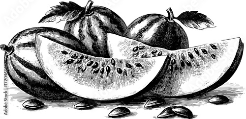 Vintage engraving of watermelon with scattered seeds for retro design