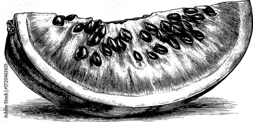 Vintage watermelon slice illustration with seeds for summer design