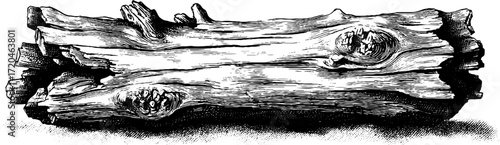 Hand drawn wooden texture with grains in vintage style for design and decoration