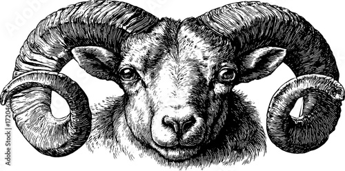 Aries zodiac sign ram symbol in vintage hand drawn style for astrology posters and cards