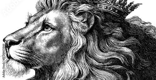 Leo zodiac sign lion symbol for astrological designs and astrology enthusiasts